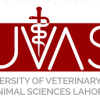 UVAS